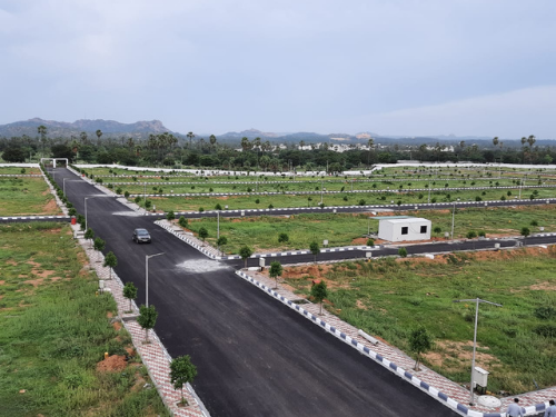 Open-Plots